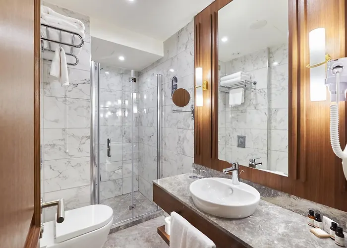 Aspera Golden Horn מלון איסטמבול